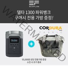 에코플로우 델타 1300 (전용가방 증정) 맥스 캠핑용 파워뱅크 차박 올인원 AC 220V