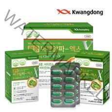 광동 써큐알파-엑스 4개월분 120정 은행잎 추출물 혈액순환개선 기억력개선 영양제, 1세트