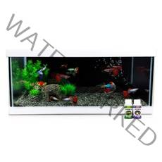 모비딕 안핑크 50슬림 어항 풀세트 AP-500, 어항(WHITE)