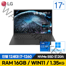 LG전자 그램 15인치 16인치 17인치 512GB RAM16G WIN10 WIN11 포함 노트북, WIN10 Home, 16GB, 1TB, 17인치 코어i7, 블랙