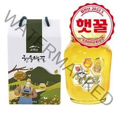 한울벌꿀 프리미엄 자연산 100% 국내산 아카시아꿀 2.4kg, 옵션1 : 초록포장 2.4kg, 1개