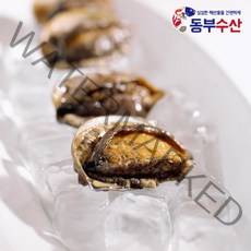 동부수산 완도 냉동전복 손질전복, 1개, 02_냉동전복(중)_450g (9~11미)