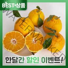 루다드림 제주 한라봉 3kg 5kg 10kg 가정용 명품 선물 세트, 3kg 대과(05-08과 내외)