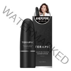 테라픽 헤어 리-터치 커버스틱 8g, 블랙, 1개