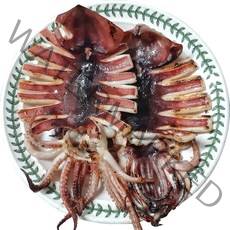 동해 반건조오징어 피데기 10마리 반건오징어 건오징어, 소소 5마리 (400g 내외)