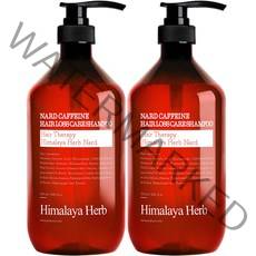 부케가르니 나드 카페인 탈모 샴푸, 1000ml, 2개