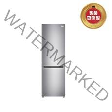 LG전자 디오스 일반형냉장고, 샤인, M301S31