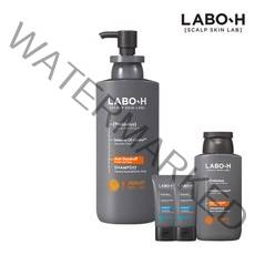 라보에이치 탈모증상완화 샴푸 댄드러프클리닉 400ml +125ml +50ml*2, 02 일반건성비듬 400ml