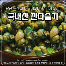 국내산 깐 다슬기 200g 올갱이 깐다슬기, 다슬기육수350ml