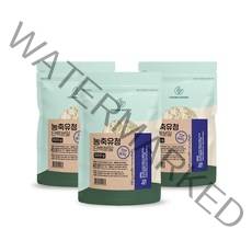 농축 순수 유청단백질 분말 가루 WPC 부모님 시니어 여성 노인 단백질 보충제 쉐이크 파우더 헬스 운동전후 프로틴 X 500g 3팩