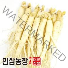 더굿진생 금산 인삼 햇 원수삼 세척 수삼 삼계탕인삼 실속형 업소용 오쿠용, 1개, 세척 원수삼300g(9~12뿌리)