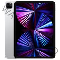 Apple 아이패드 프로 11 3세대 M1칩, 실버, 1024GB, Wi-Fi+Cellular