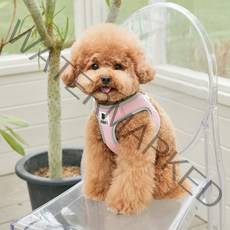 베니즈 베이직 하네스, 라이트 핑크