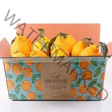 새콤 달콤 한라봉 2kg/2.5kg 2개구매시 500g추가, 06.고당도  한라봉 2.5kg 6-9과 대과, 상세설명 참조