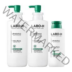 라보에이치 두피강화 샴푸 400ml x 2 + 180ml