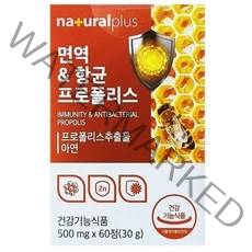 면역 항균 구강 건강 프로폴리스 추출물 플라보노이드 아연 츄어블 추어블 면역력높이는 항산화에도움 영양제