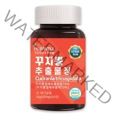 하비웰 꾸지뽕 추출물정 600mg X 60정, 1통