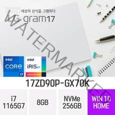 LG 그램17 17ZD90P-GX70K [오피스 증정], 256GB, 윈도우 포함, 8GB