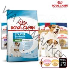 로얄캐닌 미니스타터 1kg(임신말기~수유기/생후2개월까지) 마더앤베이비독 강아지사료, 2포이상구매시 데일리 미니캔 1개 증정, 24.04