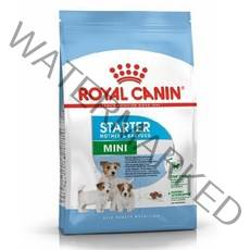 [와이제이] 스타터 미니 M&B 독 로얄캐닌 1kg, 상세페이지 참조, 상세페이지 참조, 상세페이지 참조