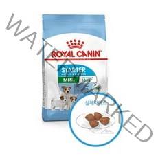 로얄캐닌 1+1 미니 스타터 마더 앤 베이비독 1kg+1kg, 1kg, 2개