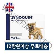 사이노퀸 시노퀸 소형견 강아지 관절영양제 30 캡슐 당일 출고, 30 캡슐 (Capsule)