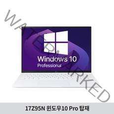 [Win10Pro] LG 그램17 gram 17Z95N-GP50ML 인텔i5 업무용 기업용 노트북 추천, 윈도우10Pro, 8GB, 256GB, 코어i5, 화이트