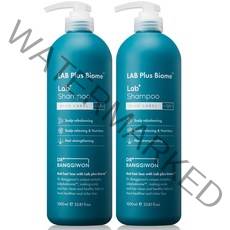 닥터방기원 랩플러스 바이옴 탈모샴푸 블루라벨, 2개, 1000ml