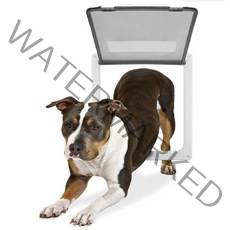 버디캣 중형견 대형견 펫도어 강아지 애견 출입문, 화이트