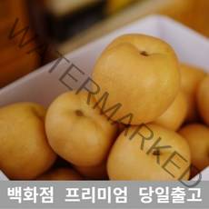 [특등급선별] 배 10kg 감기에좋은음식 기침멈추는법 가래없애는방법 과일 배즙 배차 배즙효능 배가격 과일배 먹골배 배주스 사과배 배음료 서생배 과일 신선한 프리미엄 백화점 업소용