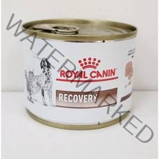 로얄캐닌 리커버리캔 195g - 강아지 고양이 겸용, 1개
