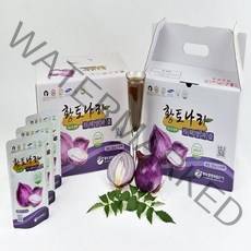 황토나라 자색양파즙100ml, 100ml, 120개