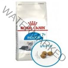 로얄캐닌 인도어 +7 (7세이상) 1.5kg 2개, 곡물