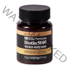 비디컬 독일산 맥주효모 비오틴 5000 캡슐 영양제 모발 L시스틴, 60정, 1통
