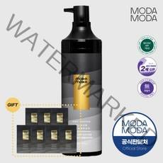 모다모다 프로체인지 대용량 새치커버 염색약 비듬 탈모케어 약산성 블랙 샴푸 300g+휴대용 7ml 7개