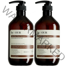 바이아우어 블랙비어 이스트 샴푸, 1017ml, 2개