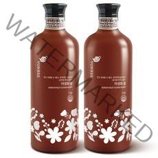 [코스트코] 본비 야생화 꿀 2kgx2개