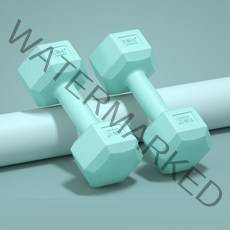 가정용 헬스 벤치 프레스 웨이트 운동 기구 여 을위한 2pcs 피트니스 덤벨 세트 보디 빌딩 역도 체육관 아령 휴대용 장비, 하늘색