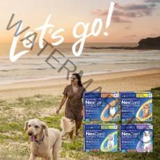 넥스가드 스펙트라 반려견 진드기 벼룩 NEXGARD SPECTRA (1팩 3정), S(2~3.5kg)