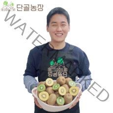 산지직송 참다래 새콤달콤 그린키위 스테비아급 고당도 골드키위, 그린키위 / 2kg / 특대 / 18개내외
