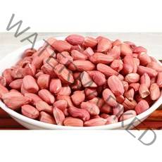 햇 중국산 생땅콩 생알 땅콩 큰알 품질보증 2021년산, 2.5kg