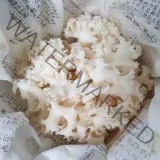 436꽃송이버섯/ 생꽃송이버섯/ 무농약 약용버섯 베타글루칸 함유, 1kg