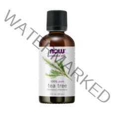 나우푸드 에센셜 아로마오일 티 트리, 59ml, 1개
