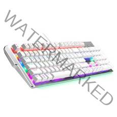 삼성전자 SPA-NKG1CUB 레인보우 LED 유선 화이트기계식키보드 청축, 화이트, 유선 기계식키보드