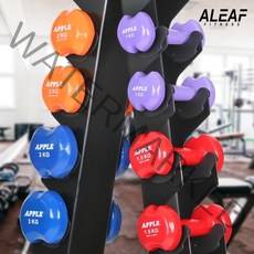 아리프 애플덤벨 3kg 2개 세트 아령 홈트 홈짐 헬스, 없음