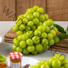 더자인 경산 에어포장 샤인머스켓 상 2kg (4-5수), 2kg(4-5수), 1박스