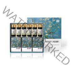 한삼인 기운담은 선물세트 + 쇼핑백, 홍기천 50ml x15포 + 홍삼기력 100ml x6병, 1세트