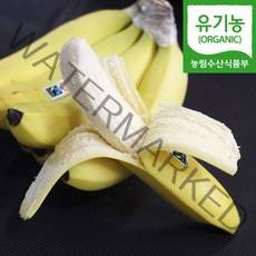 [자연마을] 유기농 인증 다이어트 과일 바나나 1.8kg 2.7kg 내외, 2.7kg(2~3봉)