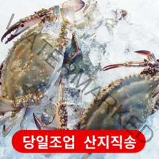 서해안 태안 꽃게 1kg ~ 6kg 가을 봄 활꽃게 손질 톱밥 숫 암 꽃게 냉동 급냉 절단 꽃개, [산지직송] 활꽃게 대 (3~5미)  2kg