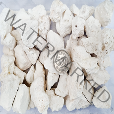 아이사이언스에듀 산호석 20~30mm 1kg 해수어 열대어 어항 바닥재 용품, 1개